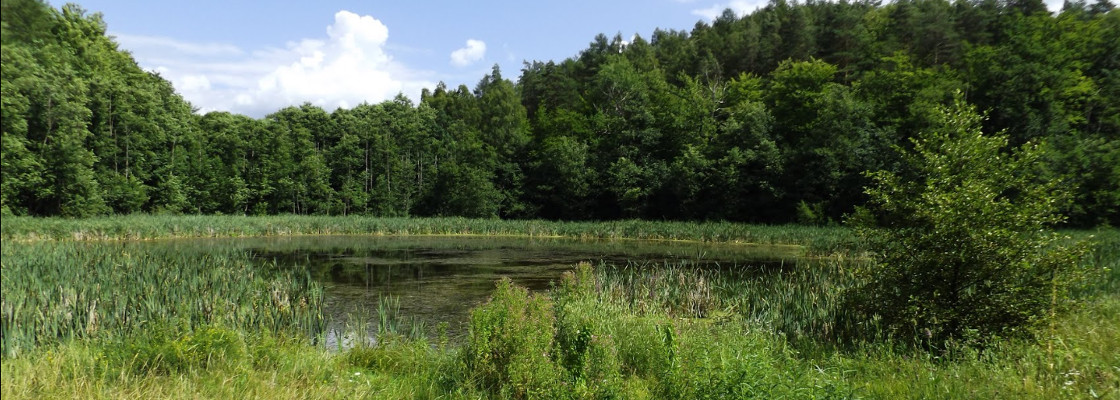 Villa alojamiento barato cerca de Gdansk, descanso en Polonia